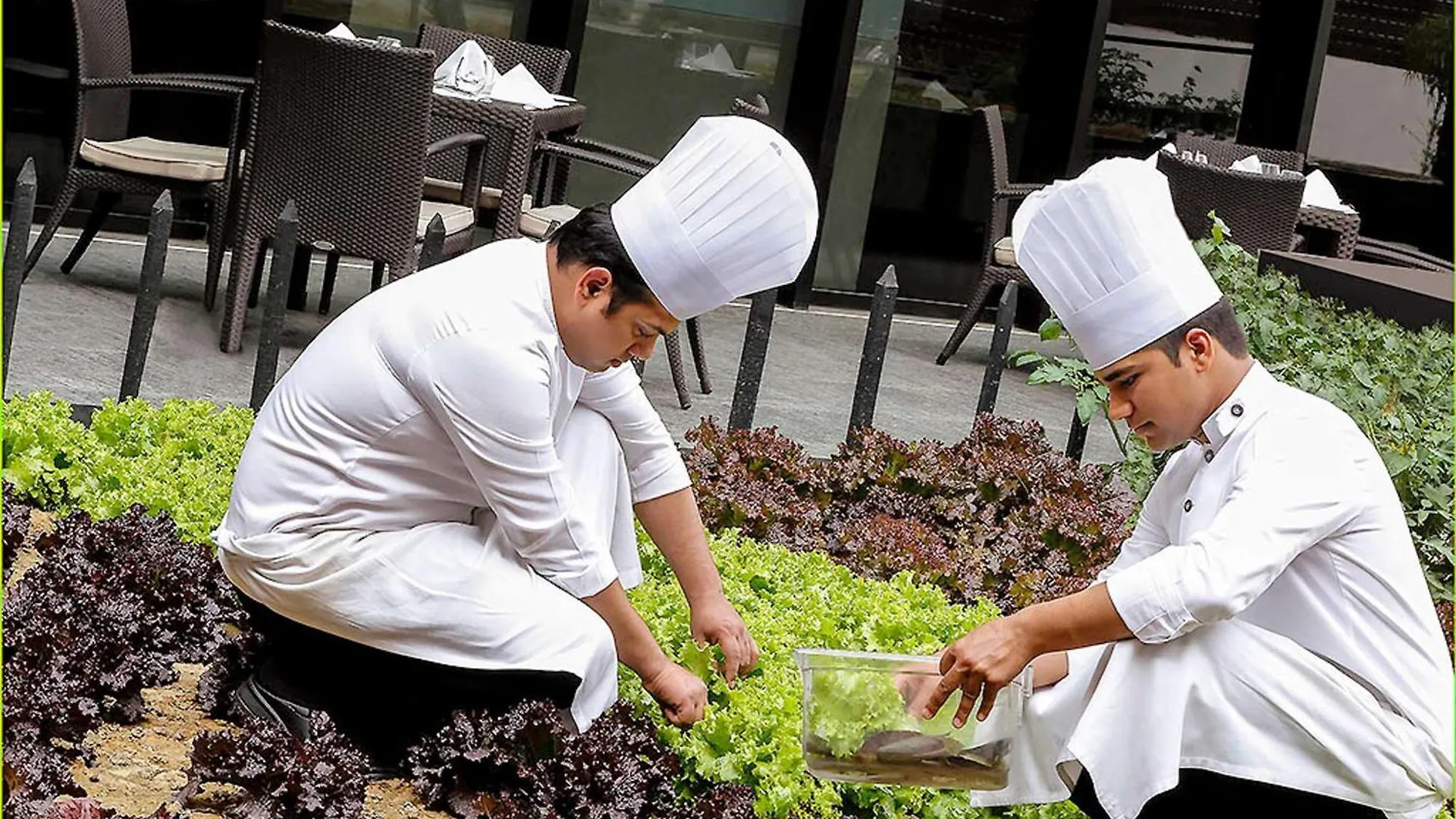 Pullman New Delhi Aerocity Hotel
